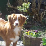 Diva in de tuin