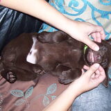 Binky