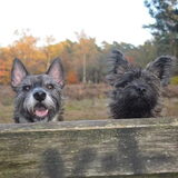 Foto van Jeanine & Caintie