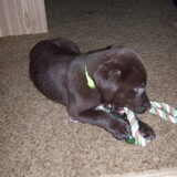 Binky