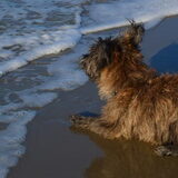 voor eerst bij de zee jan. 2013