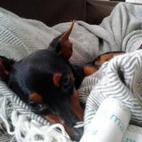 Foto van Chico en Louisa