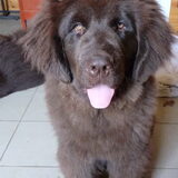 Foto van Jeanine :)