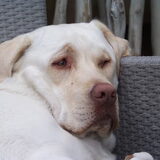 Foto van esther