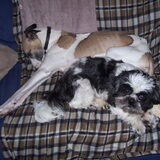Djeff en Benjamin