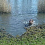 Foto van Quincy, Bailey & Nova