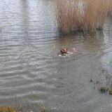 Foto van Quincy, Bailey & Nova