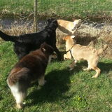 1ste keer speeltuin voor Aysa 18-03-13...., heeeeeeel spannend