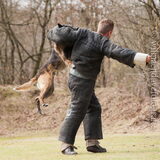 Foto van De Mecheltjes clan