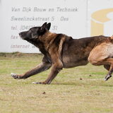 Foto van De Mecheltjes clan