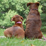 Choca met haar beste vriendin....CHOCO! :)