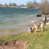 Foto van Lisanne, Misha, Tessa&Arrow
