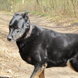 20 april wandeling kalesterberg