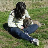 Knuffelen met asielhondje Bullet