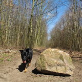 Foto van Dobry