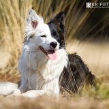 Foto van Sophie & Beau