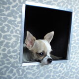 Foto van sally