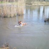 Foto van Quincy, Bailey & Nova
