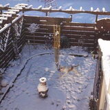 Sneeuwpret
