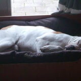 Lekker chillen in zn mandje