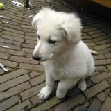 Foto van tamara