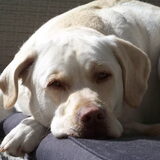 Foto van esther
