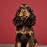 Foto van Valérie, Milo en Noa