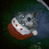 yoni in kerstsfeer 2012-2013 (weet soms iemand hoe het komt dat mijn…