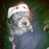 chloe in kerstsfeer 2012-2013