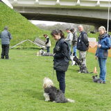 Brevet Gehoorzaamheid met Taiko op 27-04-2013
