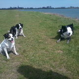 Foto van Inge, baasje van Sasha en Myra <3