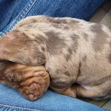 Stiekem wel 'n beetje moe geworden ;-)