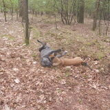 is dit een kill??