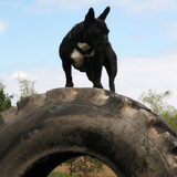 Foto van Maxine, Mira en Tuur