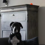 Olla!