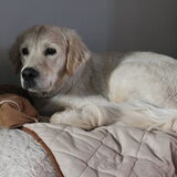 Foto van Suzan