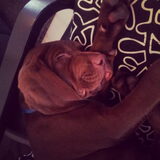 Sleeping Beau(ty)
