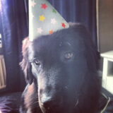Foto van Anouk & Balou<3