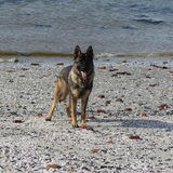 op het strand