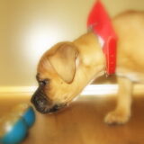 His First TOY !
