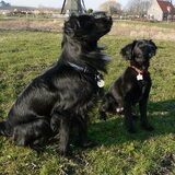 Foto van Hummeltje