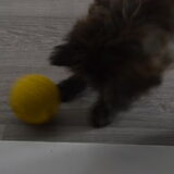 3 mei