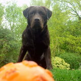 Foto van Brenda, Kibo & Charlotte