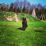 Foto van Anouk & Balou<3