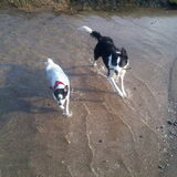 Foto van Inge, baasje van Sasha en Myra <3