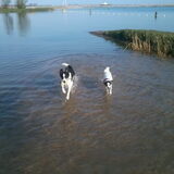 Foto van Inge, baasje van Sasha en Myra <3