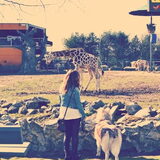 Olmense zoo