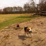 Foto van Martine & Flex & Jip