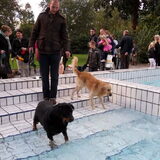 Samba lekker het water in!