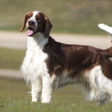 Foto van Demi - Rosie